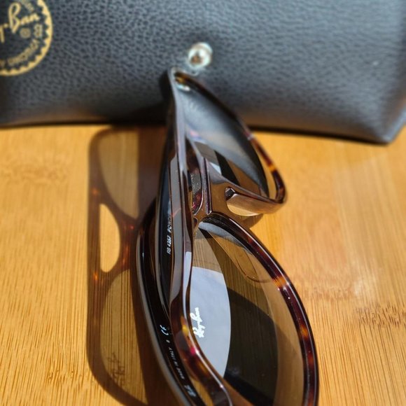 Ray-Ban Powderhorn Sunglasses - Picture 3 of 5